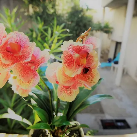 Apartman Bella * Split